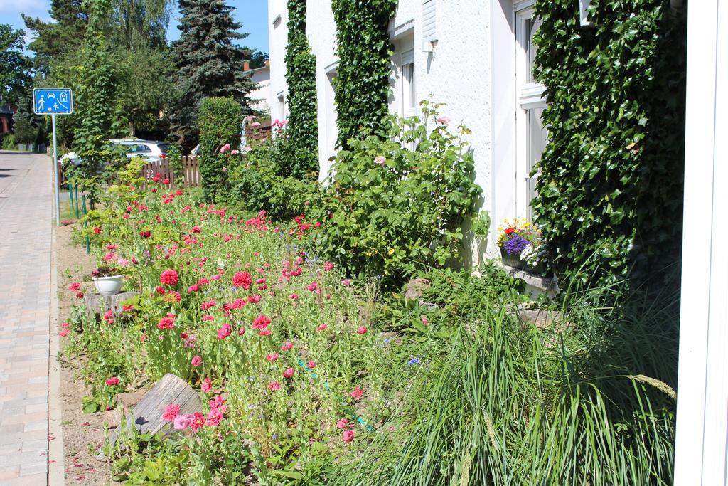 Baltisches Haus Pension Moll Цинновиц Экстерьер фото